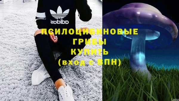 прущая мука Алексин