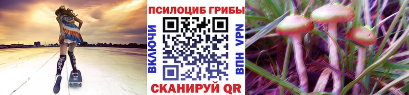 Галлюциногенные грибы GOLDEN TEACHER  Купить где  Светлый 