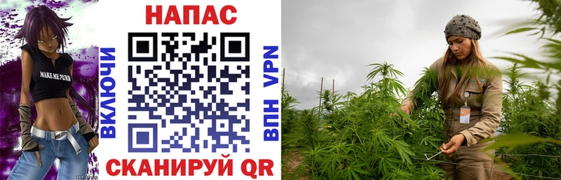 МАРИХУАНА THC 21% Купить закладки Светлый
